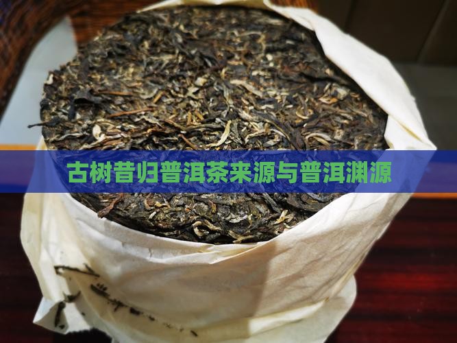 昔归古树茶来源 昔归古树茶来源