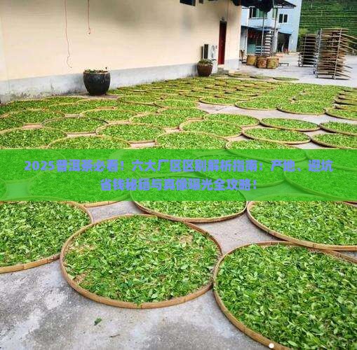 普洱茶六个厂区的区别