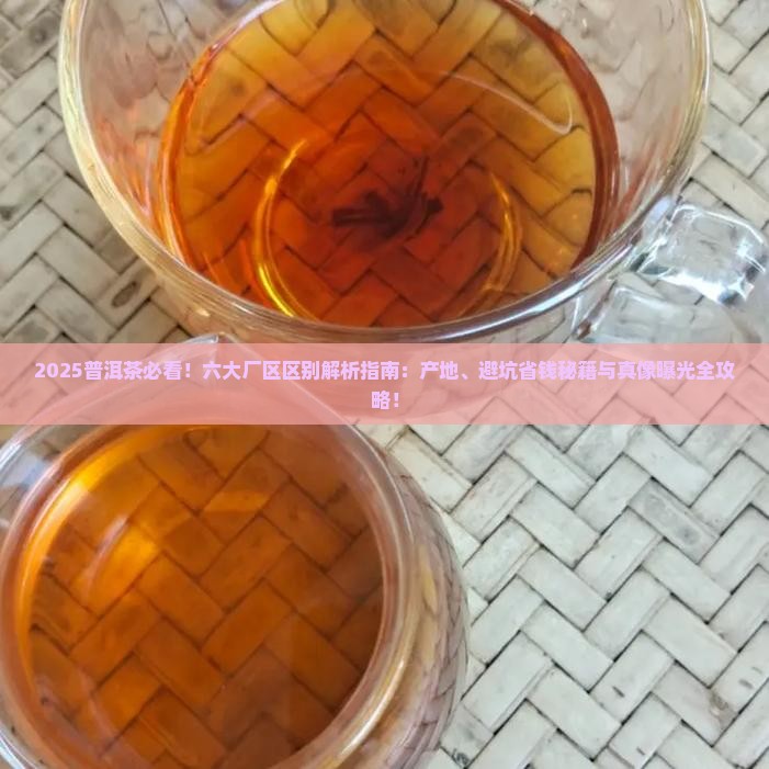 普洱茶六个厂区的区别