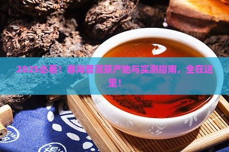 春海普洱茶哪里生产的