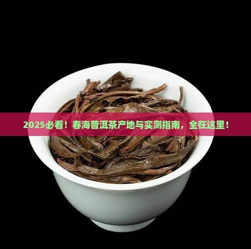 春海普洱茶哪里生产的