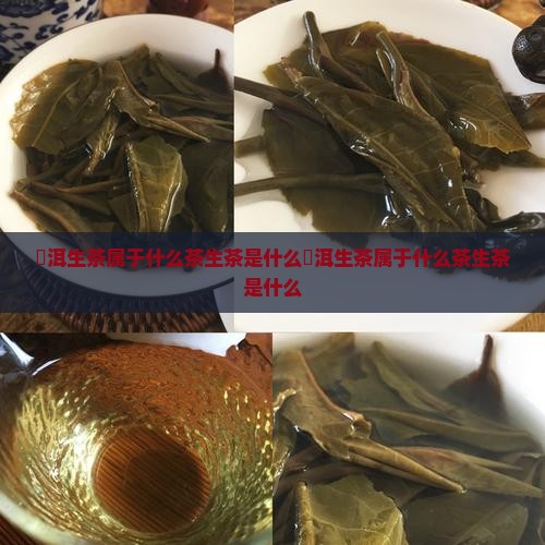 潽洱生茶属于什么茶生茶是什么
