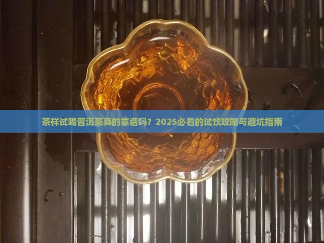 茶样试喝普洱茶好吗