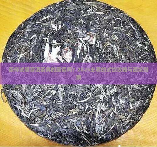 茶样试喝普洱茶好吗