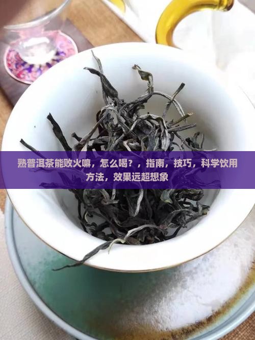 熟普洱茶能败火嘛怎么喝