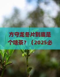 方守龙冬片是什么茶