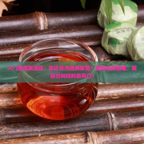 入门普洱茶选择