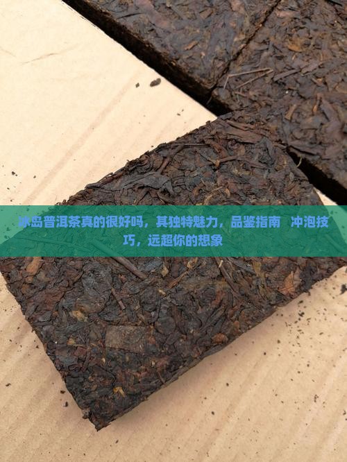 冰岛普洱茶真的很好吗