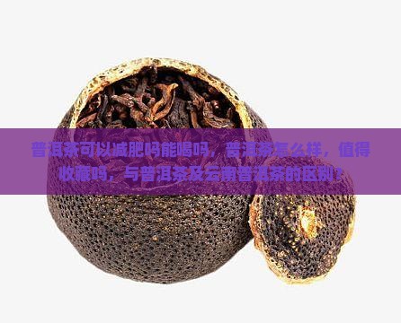 果敢普洱茶可以减肥吗