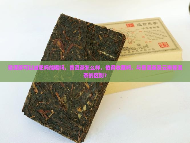 果敢普洱茶可以减肥吗