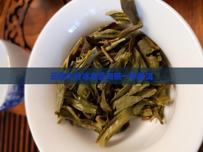 云南大叶种冰岛茶