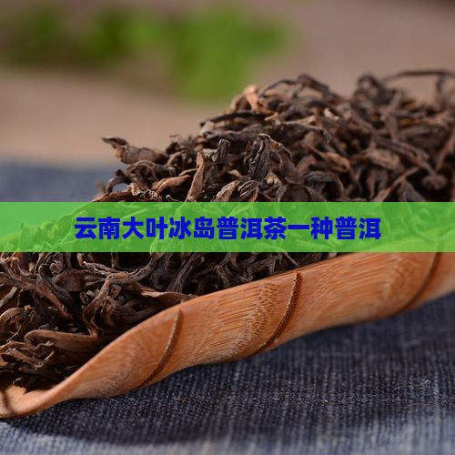 云南大叶种冰岛茶