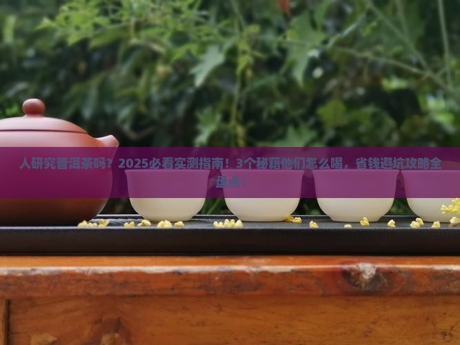 美国人研究普洱茶吗