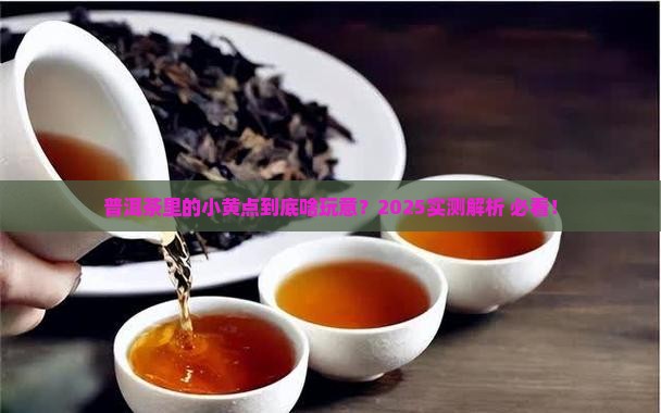 普洱茶中带有小黄点的是 普洱茶中带有小黄点的是