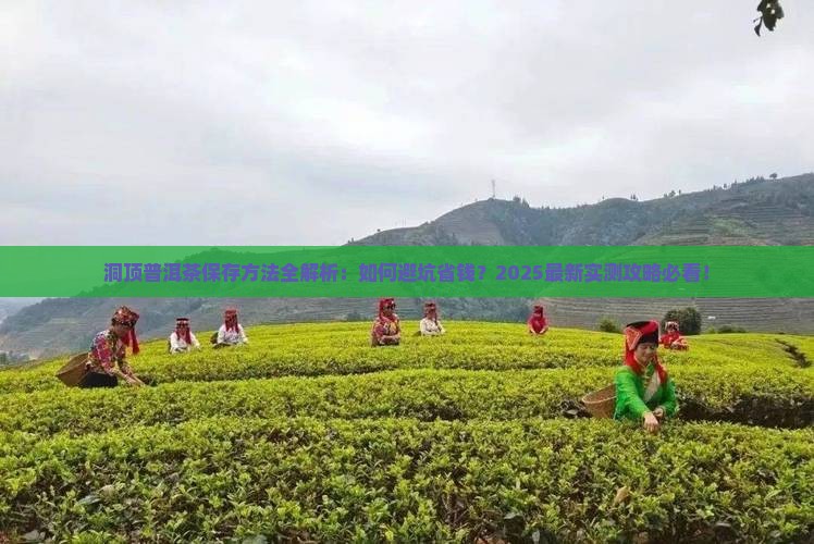 洞顶普洱茶怎么保存