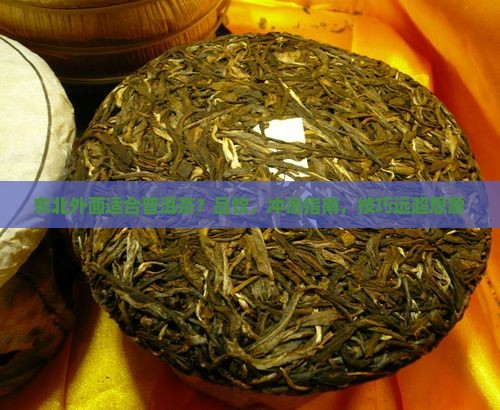 东北外面适合普洱茶