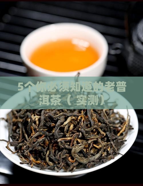 老普洱茶都有哪些