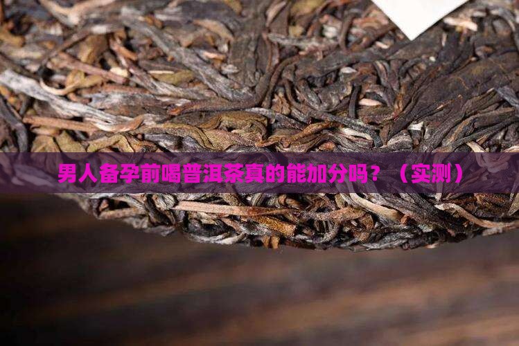 男人备孕前喝普洱茶好吗