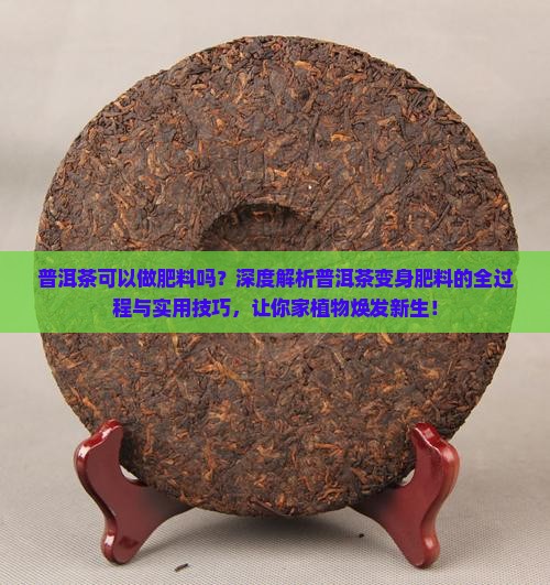 普洱茶可以做肥料吗