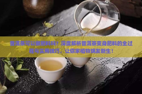 普洱茶可以做肥料吗