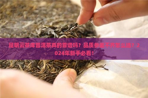 昆明云茶库普洱茶