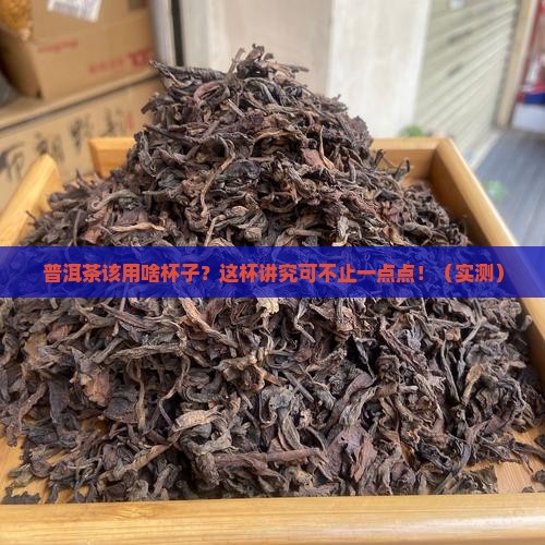 普洱茶适合什么杯子