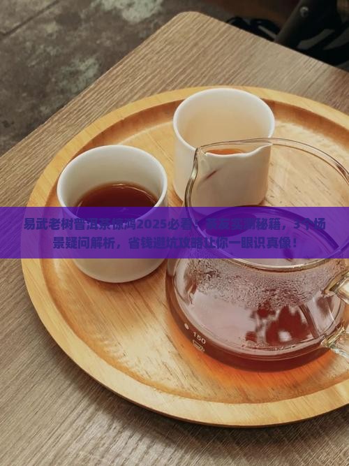 易武老树普洱茶惊鸿