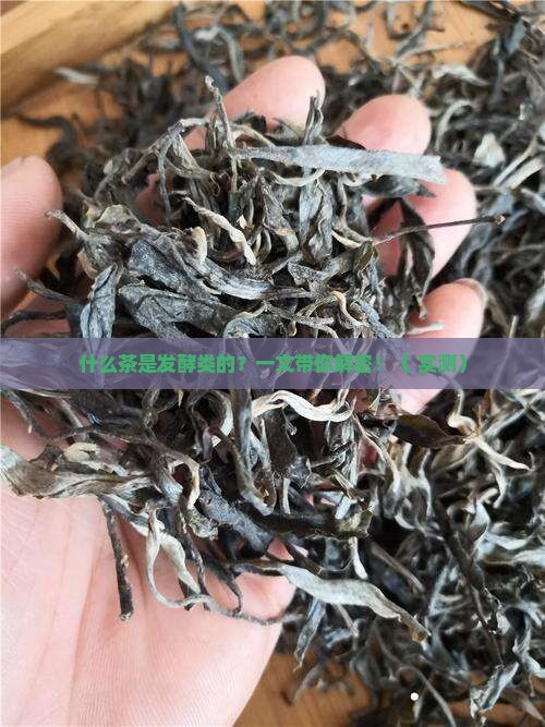 什么茶是发酵类的茶