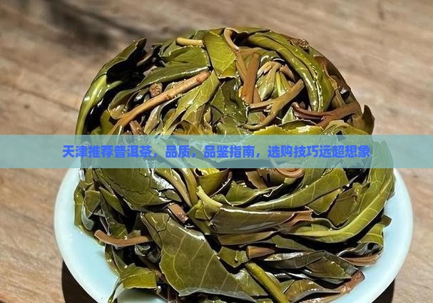 天津推荐勐舍普洱茶