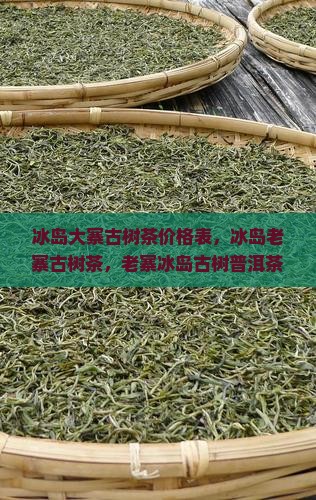 冰岛大寨古树茶