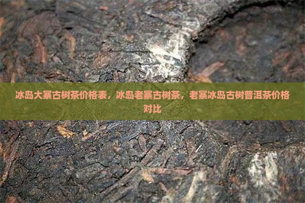 冰岛大寨古树茶
