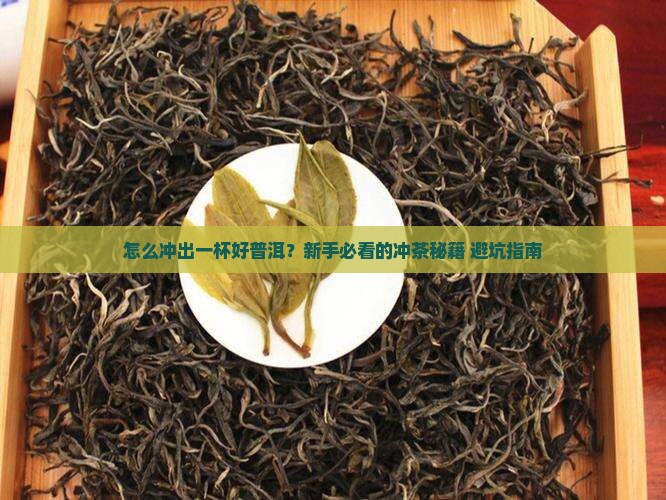 普洱茶冲茶步骤