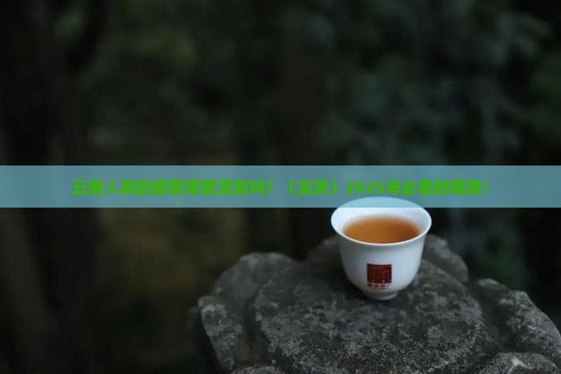 云南人喜欢喝普洱茶嘛为什么