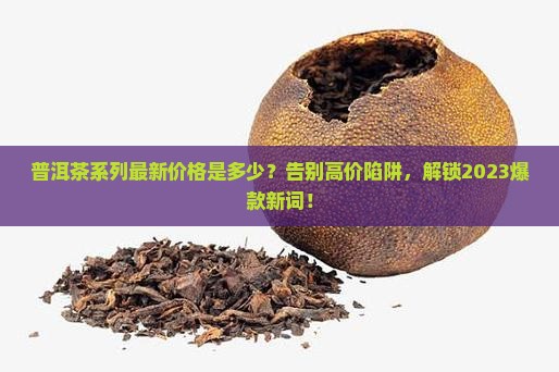 普洱茶系列最新价格