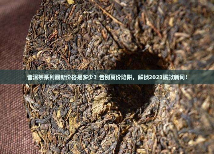 普洱茶系列最新价格