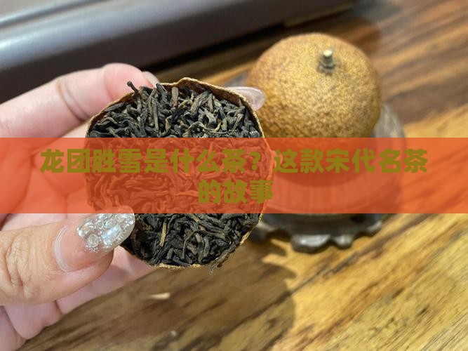 龙团胜雪是什么茶