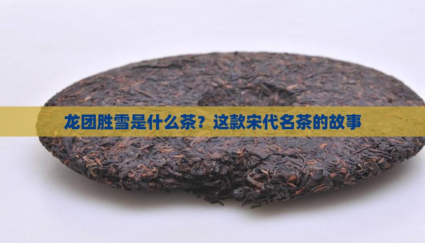 龙团胜雪是什么茶