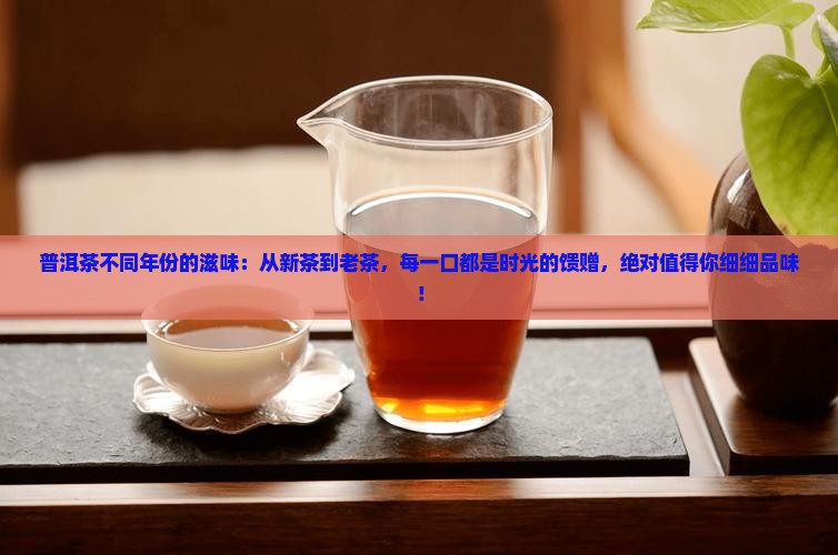 普洱茶不同年份的滋味