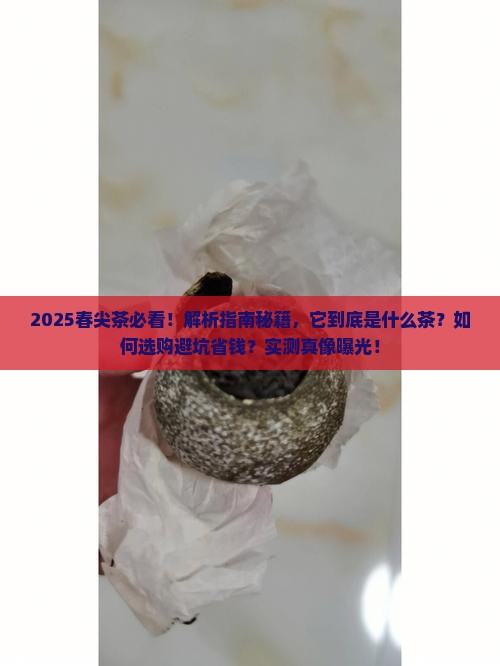 春尖茶是什么茶