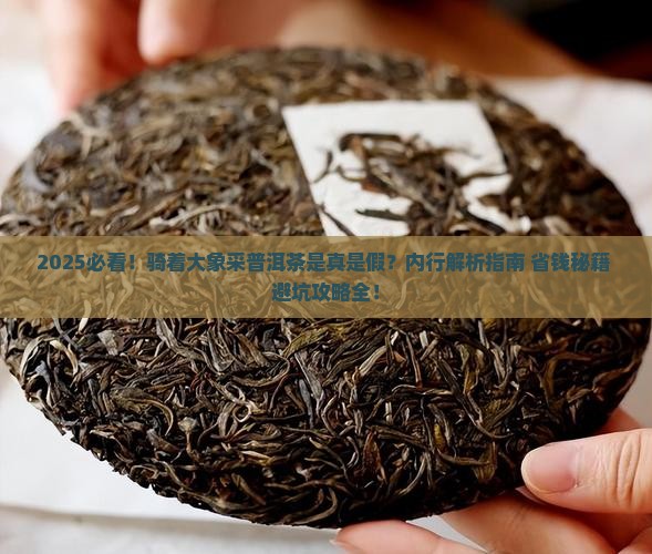 骑着大象去采普洱茶