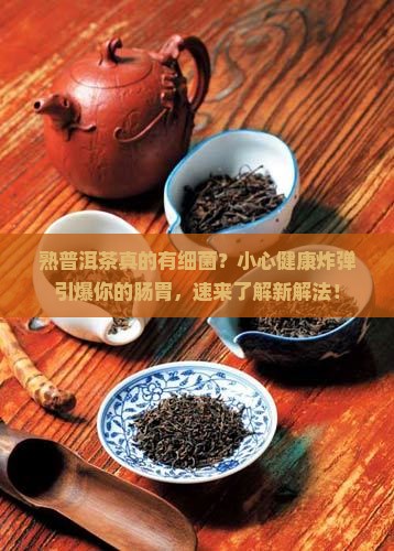 熟普洱茶有细菌