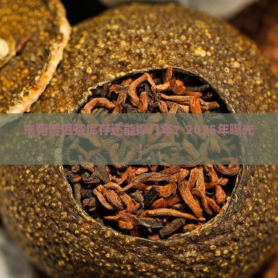 东莞普洱茶库存多少年