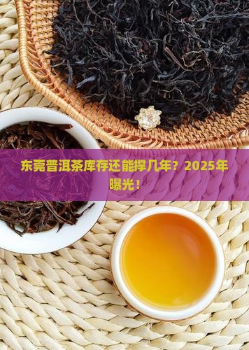 东莞普洱茶库存多少年