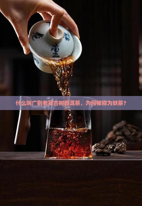 广别普洱茶为什么叫妖茶