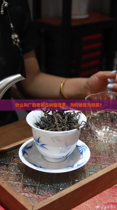 广别普洱茶为什么叫妖茶