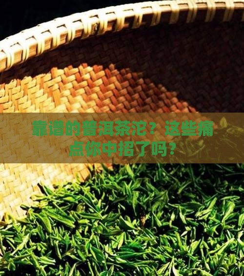 靠谱的普洱茶沱