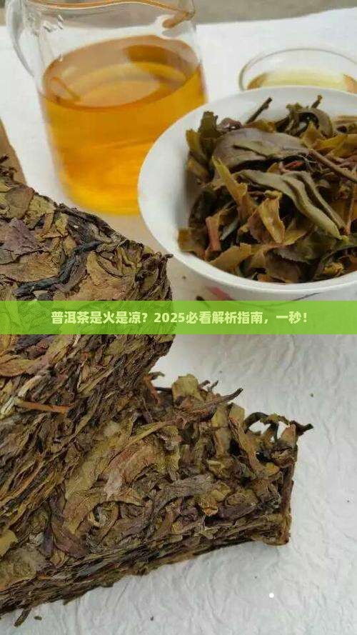 普洱茶是属于热性还是凉性