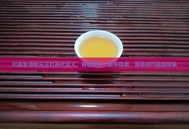 红茶发源地元正红茶代言人