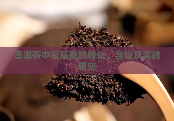 普洱茶中氨基酸的转化