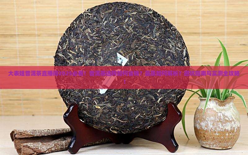 大表姐普洱茶直播间